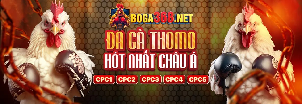 Zalo ok365 nổ hũ